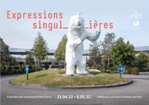 Flyer de l'exposition expression singulière montrant une sculpture d'ours posée au milieu du rond-point d'un centre commercial