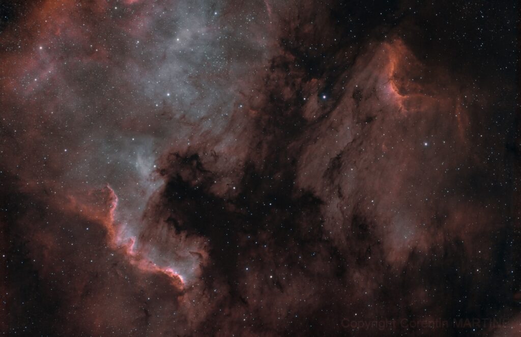 Nébuleuse Amérique du nord et nébuleuse du Pelican Une nébuleuse sur fond de ciel étoilé