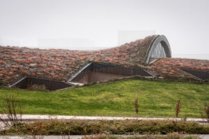 Architecture maison de hobbit toiture végétalisée
