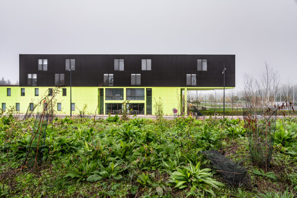 Institut polytechnique d’études franco-allemandes et de manag Architecture moderne de couleur vert et brune sur avant plan lit végétalisée
