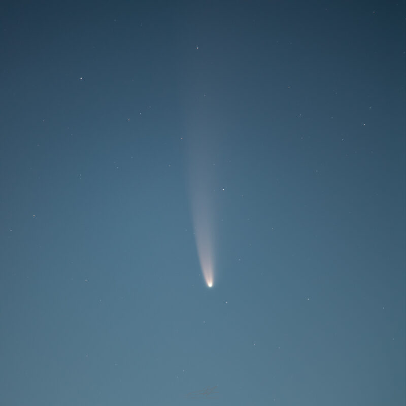 La comète Neowise Une comète sur fond de ciel bleu